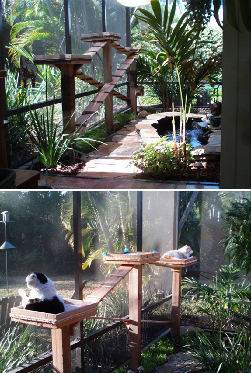 What is and is Koti, Playground for cats outdoors