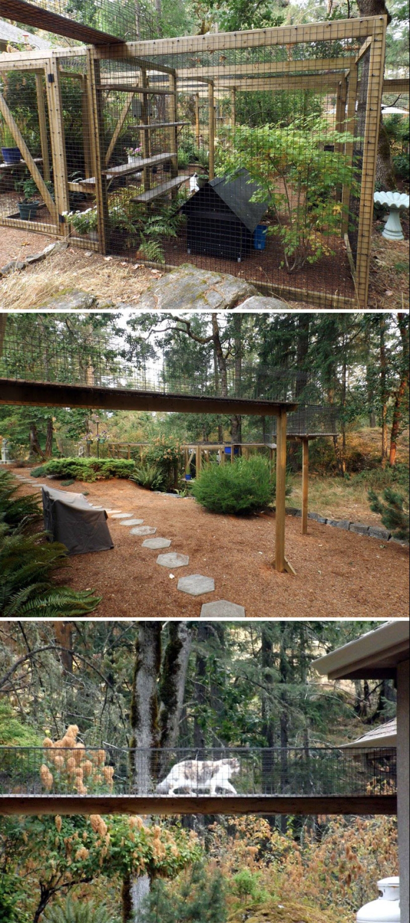 What is and is Koti, Playground for cats outdoors