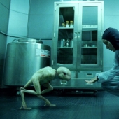 What is CRISPR and why is this biotechnology bringing the future closer What is CRISPR and why is this biotechnology bringing the future closer