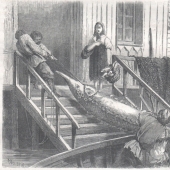 What is good for a Russian... Sketches of foreigners who visited Russia in the middle of the XIX century What is good for a Russian... Sketches of foreigners who visited Russia in the middle of the XIX century