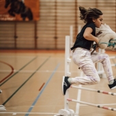 What is hobbyhorsing, or Why do people jump on sticks What is hobbyhorsing, or Why do people jump on sticks