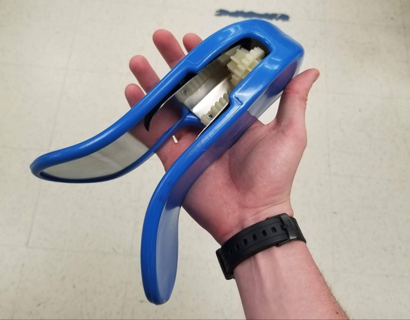 "What is this thing?": 20+ strange things that have misled Internet users