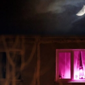 What lies behind the purple windows, or the collapse of another conspiracy theory What lies behind the purple windows, or the collapse of another conspiracy theory