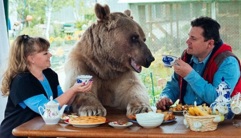 What surprises foreign men most about Russian women What surprises foreign men most about Russian women