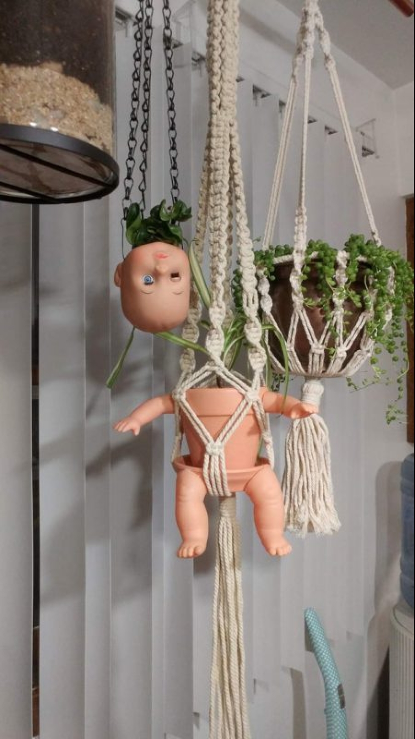 What the hell is that?! 20 photos depicting really strange things