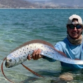 What the herring king looks like, able to predict a tsunami What the herring king looks like, able to predict a tsunami