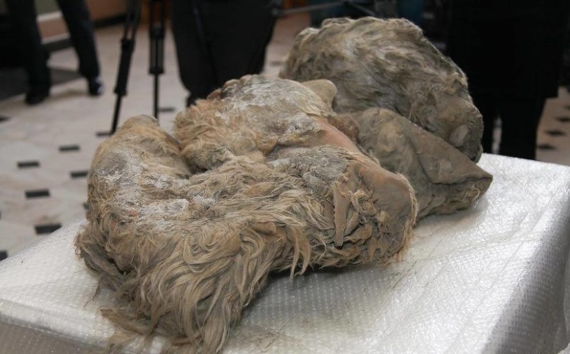 What the ice hides: 12 scary finds found in glaciers