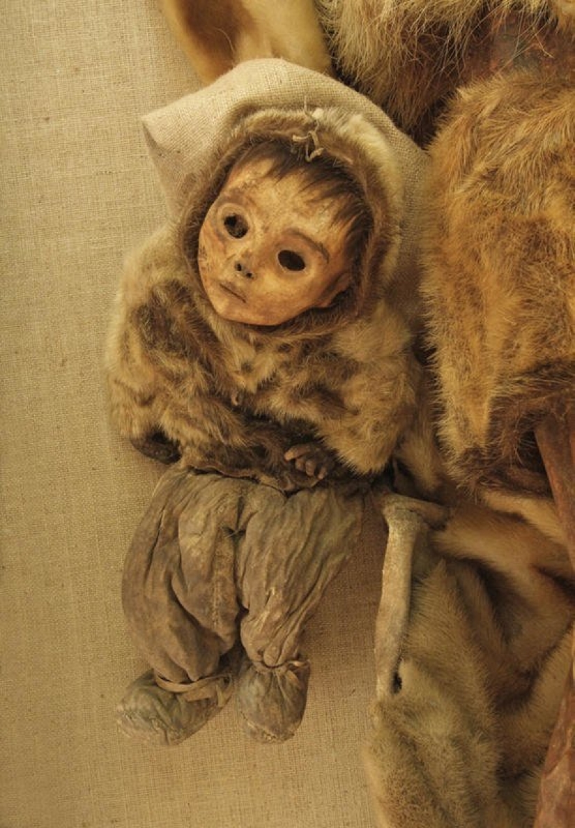 What the ice hides: 12 scary finds found in glaciers