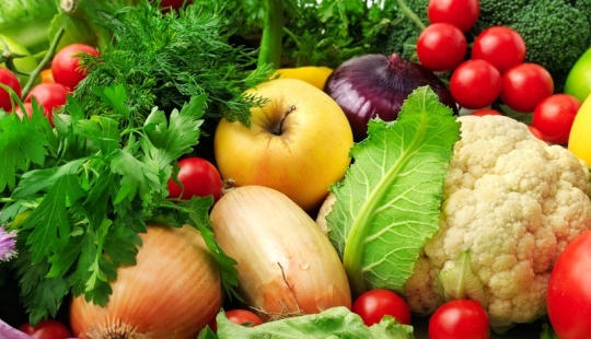What to eat in the heat: 10 products for summer What to eat in the heat: 10 products for summer