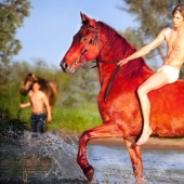 What was the fate of the most famous hermits of our time