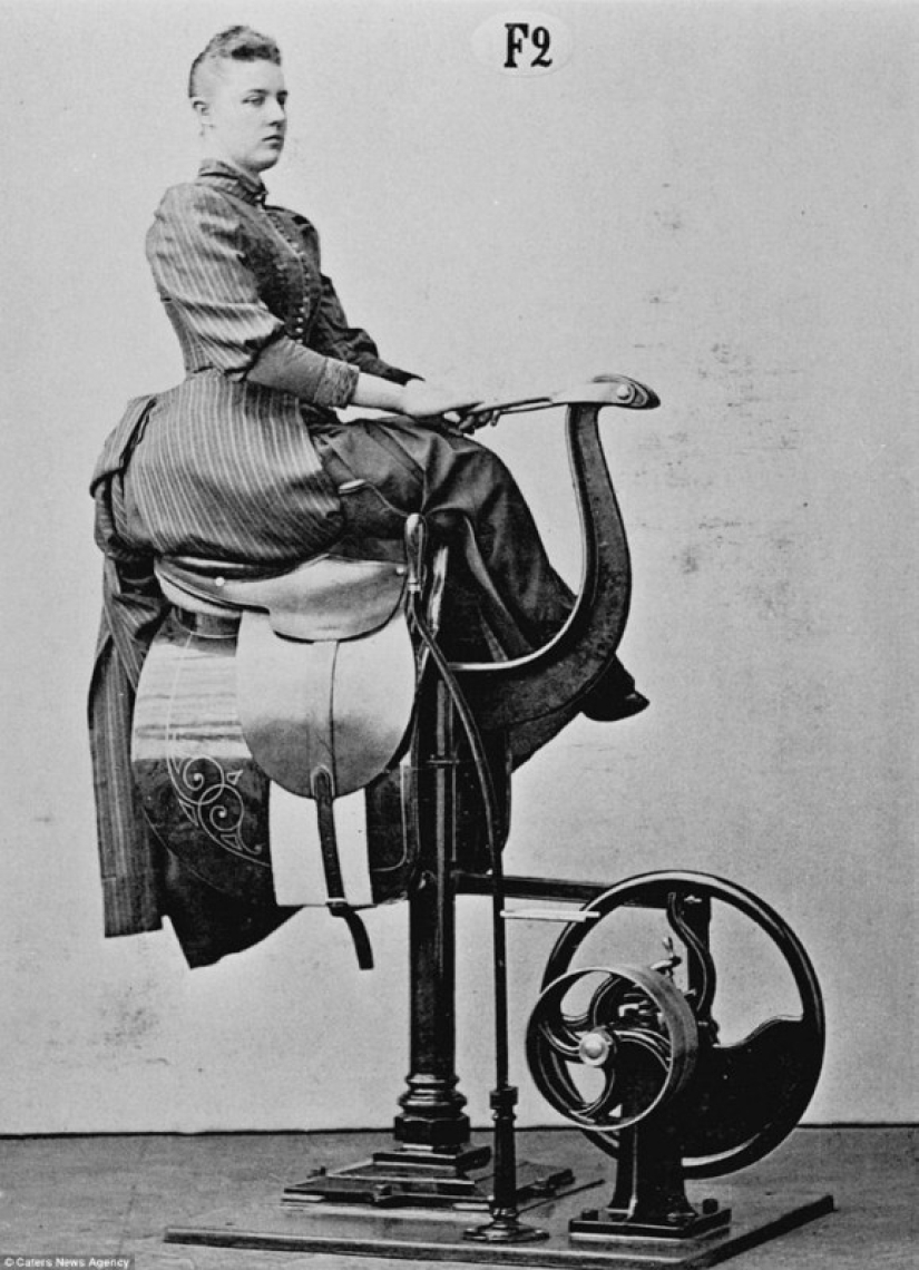 What were the progenitors of modern sports simulators?