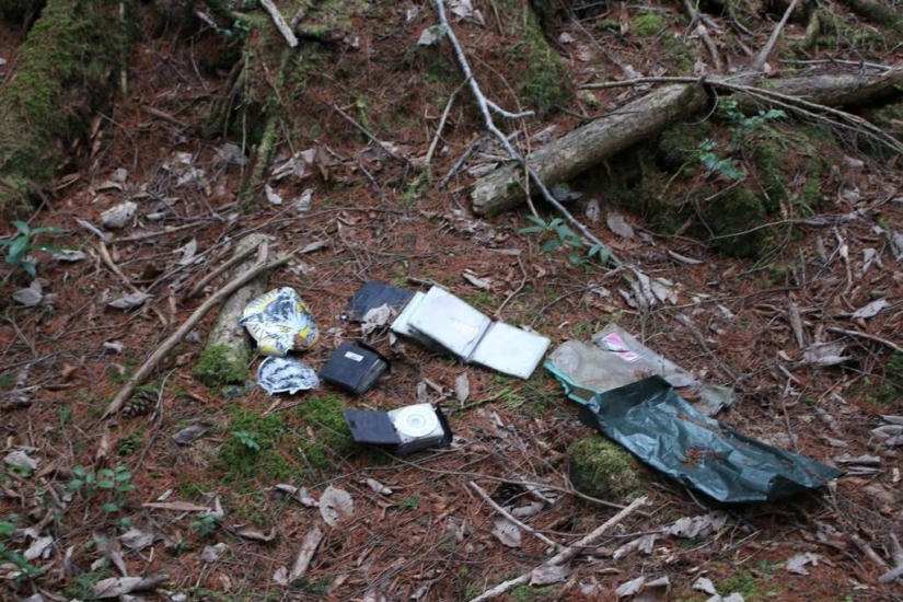 What's Hiding Behind Aokigahara: The Suicide Forest in the Heart of Japan
