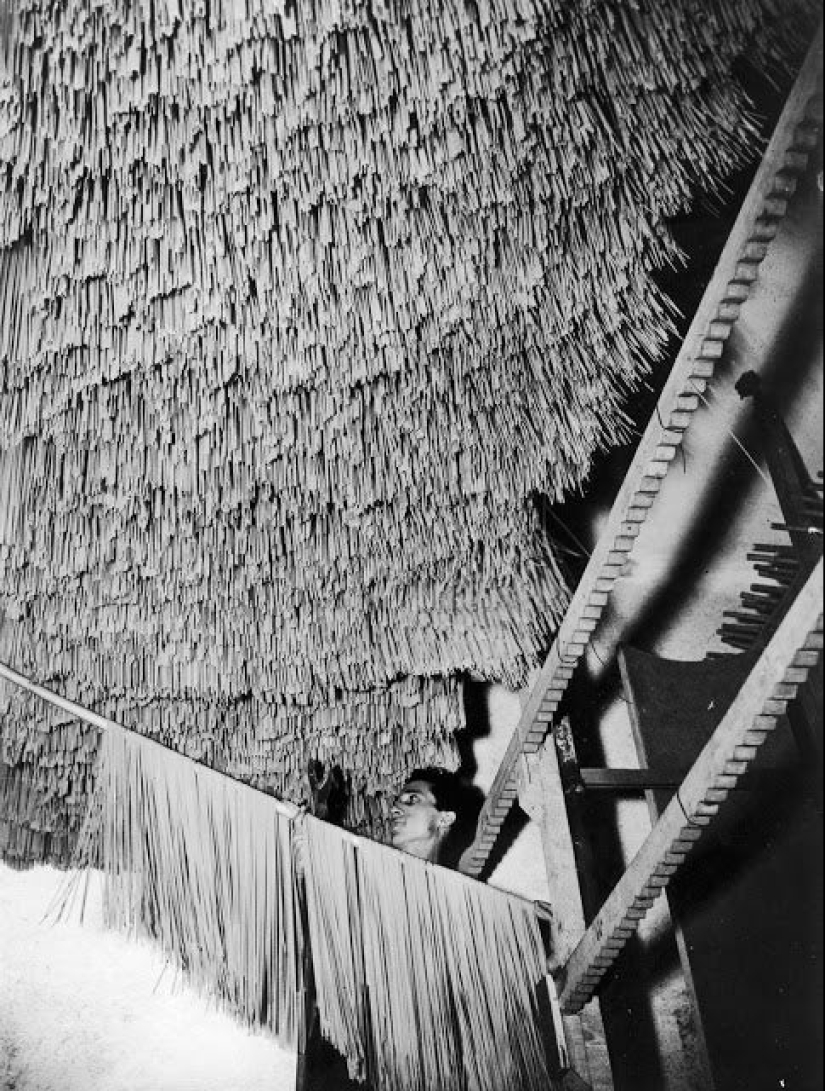 When hung noodles: manufacture of spaghetti at the beginning of the XX century