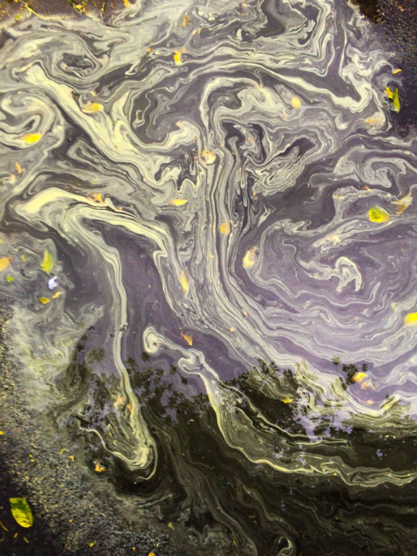 When random masterpieces are much cooler than real art When random masterpieces are much cooler than real art