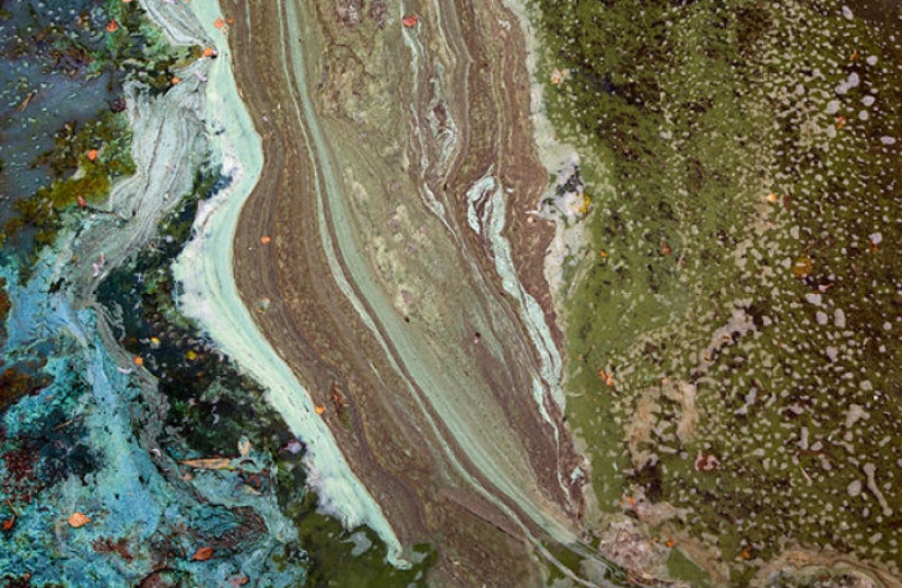 When random masterpieces are much cooler than real art When random masterpieces are much cooler than real art