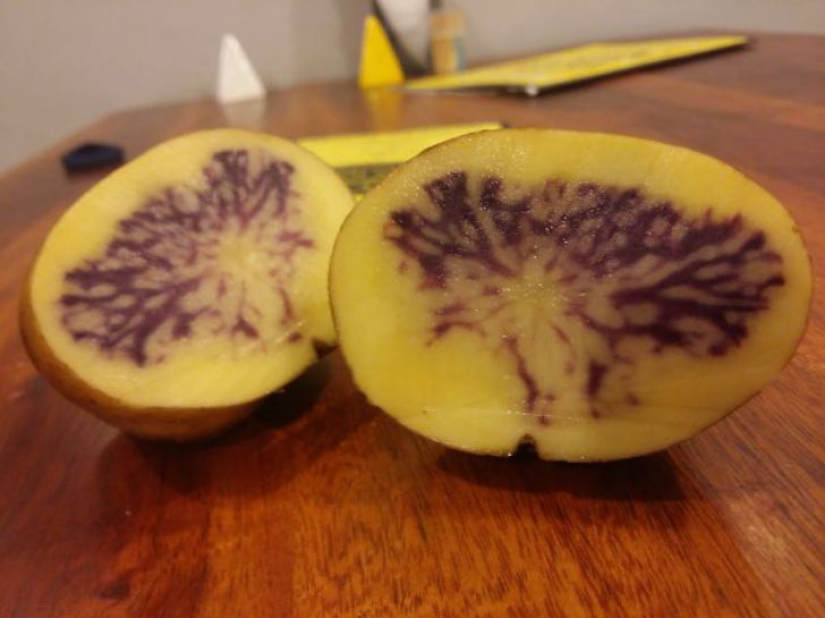 When random masterpieces are much cooler than real art When random masterpieces are much cooler than real art