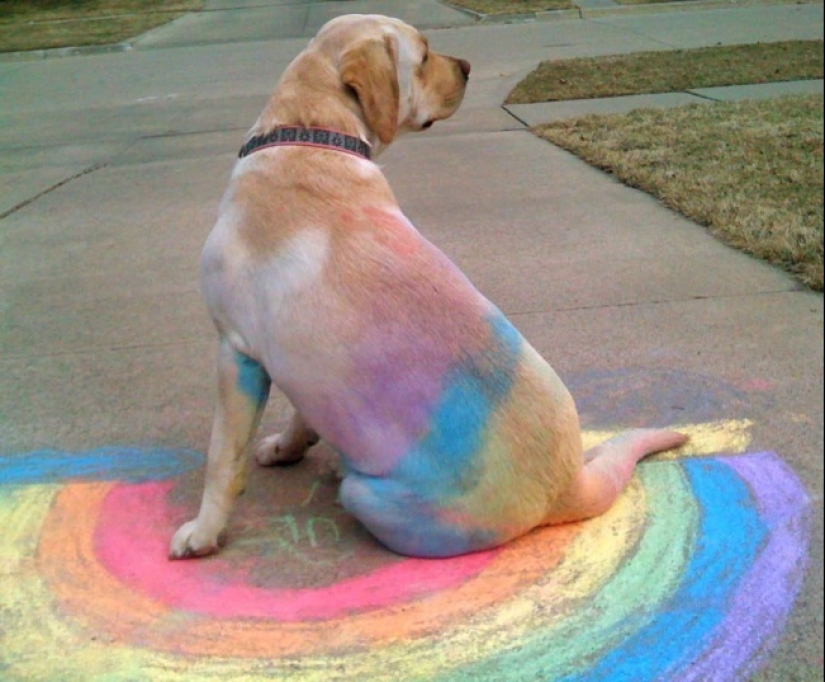 When random masterpieces are much cooler than real art When random masterpieces are much cooler than real art