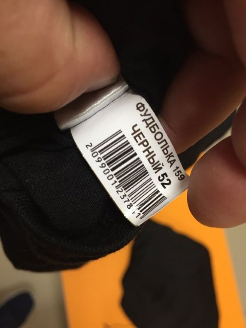 When the EGO generation found a job: 22 ashipki who just infuriate When the EGO generation found a job: 22 ashipki who just infuriate