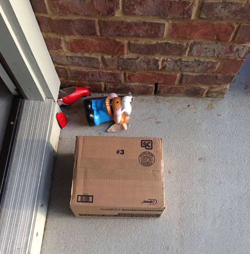When the postman is not Pechkin: Epic Delivery service Blunders