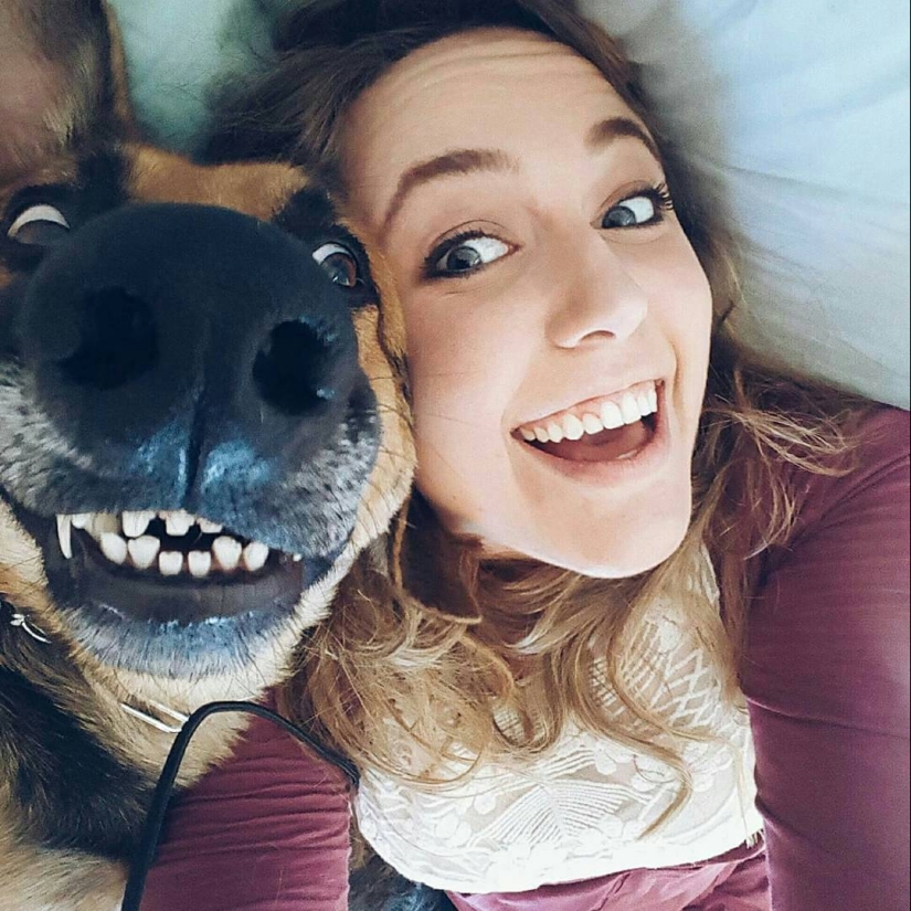When the program "dog" failed and hung up: 15+ funny photos with pets