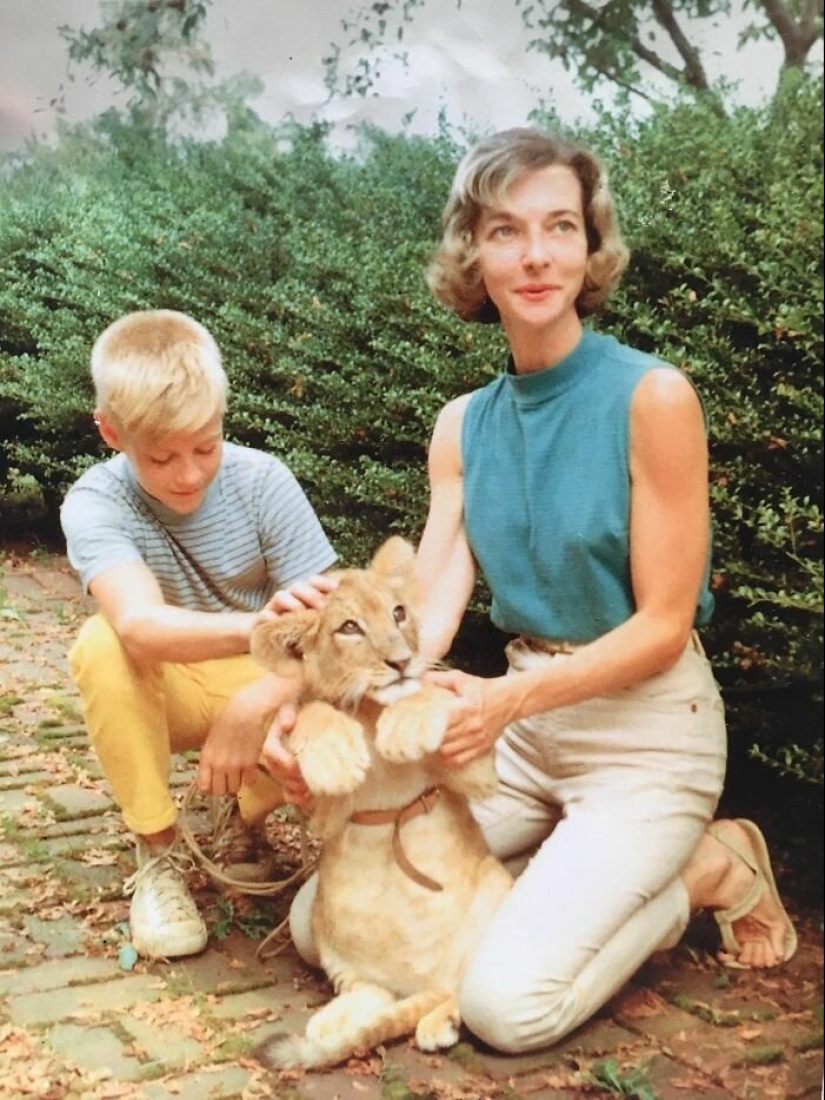 When you realize that your parents were a hundred times cooler than you