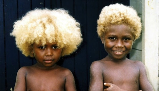 Where did dark-skinned people with light hair come from in Melanesia Where did dark-skinned people with light hair come from in Melanesia
