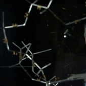 "White is smarter than black": what the discoverer of DNA James Watson stripped of all awards "White is smarter than black": what the discoverer of DNA James Watson stripped of all awards