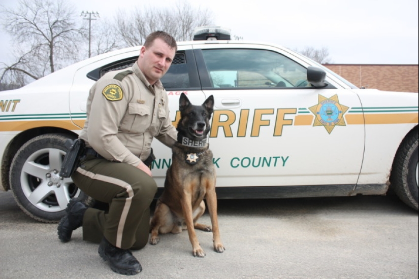 Who are American sheriffs and why do they not belong to the police