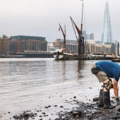 Who are madlarks and what do they look for in the mud on the banks of the Thames? Who are madlarks and what do they look for in the mud on the banks of the Thames?