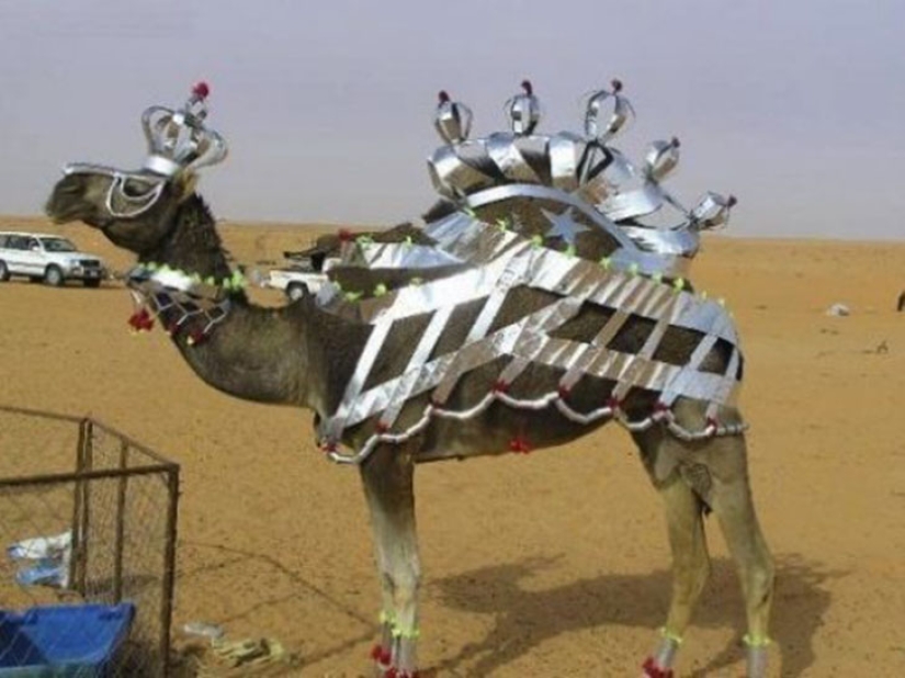 Who are you, Dubai, goodbye: maddening and a little funny luxury