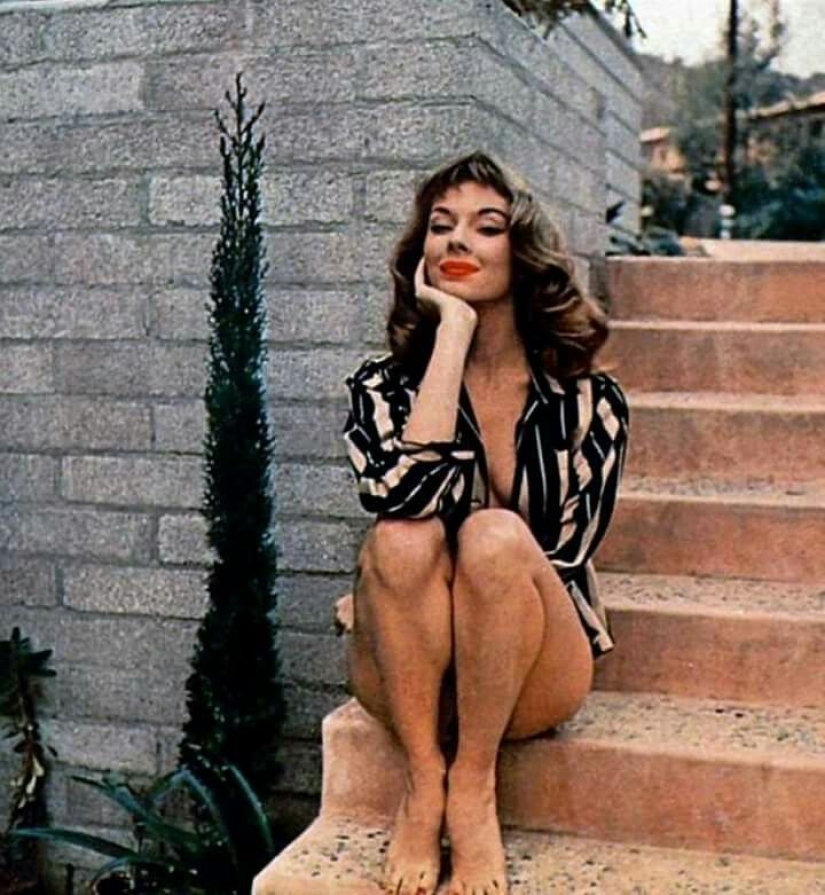 Who framed Vicki "Spink" Dugan? The ups and downs of the 1950s sex bomb that became the prototype of Jessica Rabbit Who framed Vicki "Spink" Dugan? The ups and downs of the 1950s sex bomb that became the prototype of Jessica Rabbit