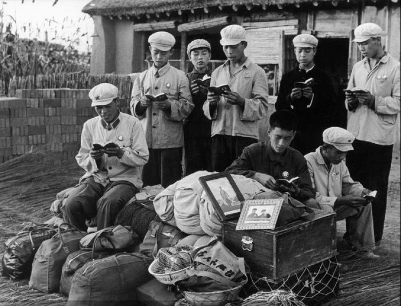 Who were the Red Guards of the Cultural Revolution