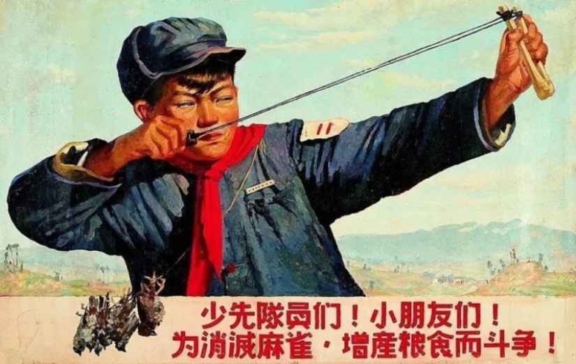 Who were the Red Guards of the Cultural Revolution
