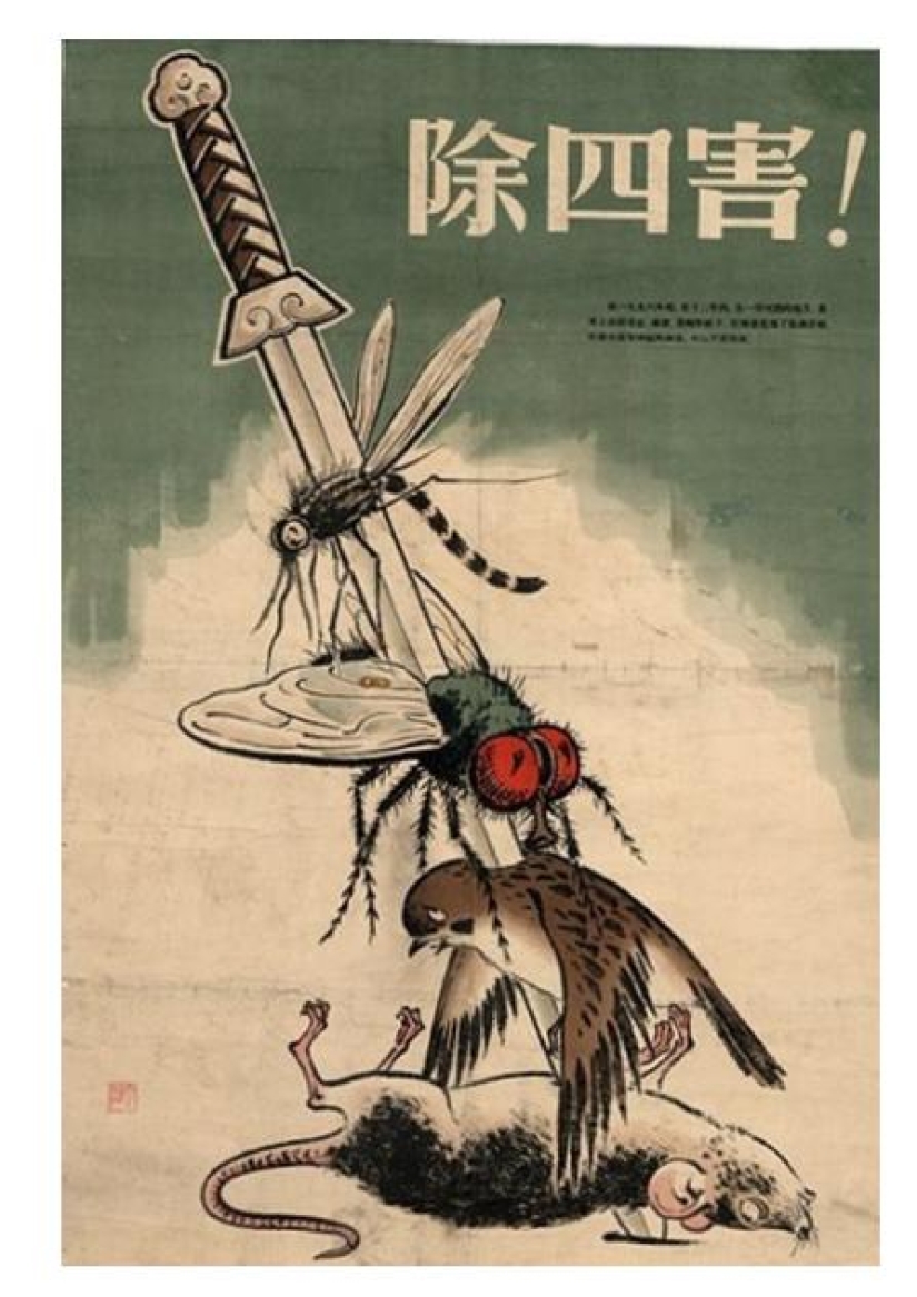 Who were the Red Guards of the Cultural Revolution