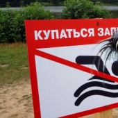 Why are cercariae dangerous - parasites from river water that penetrate the skin? Why are cercariae dangerous - parasites from river water that penetrate the skin?