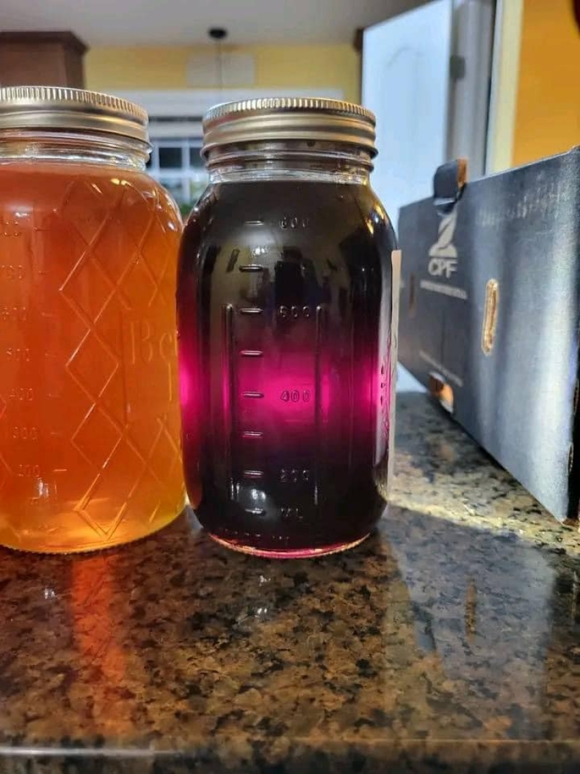 Why bees in the USA make the wrong honey