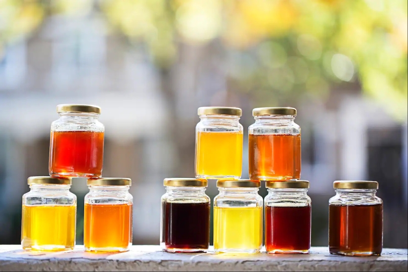 Why bees in the USA make the wrong honey