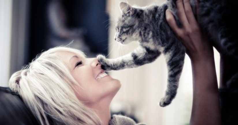 Why Cats Treat Women better than Men