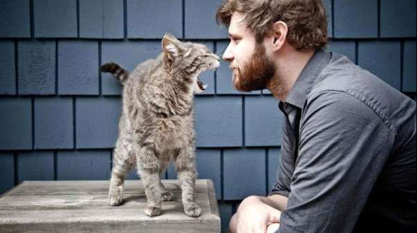 Why Cats Treat Women better than Men