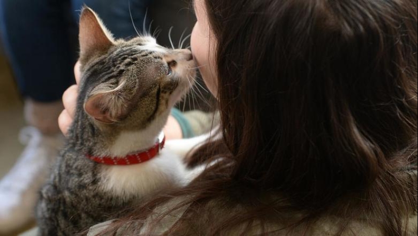 Why Cats Treat Women better than Men