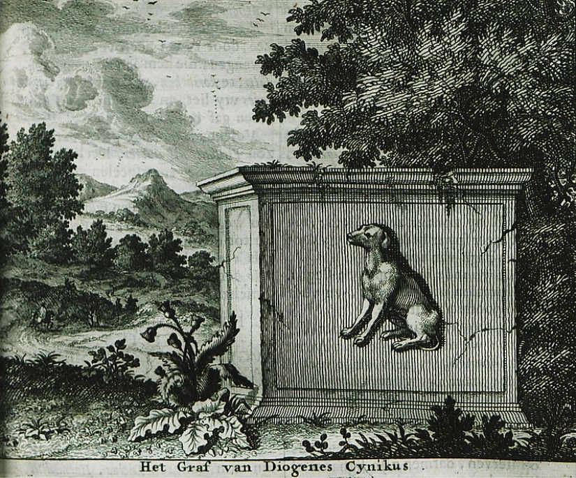 Why did the ancient Greek philosopher Diogenes live in a barrel?