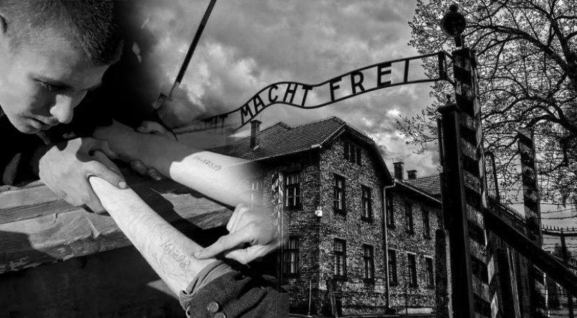 Why did they start making tattoos with numbers in Auschwitz: the story of one daring escape Why did they start making tattoos with numbers in Auschwitz: the story of one daring escape