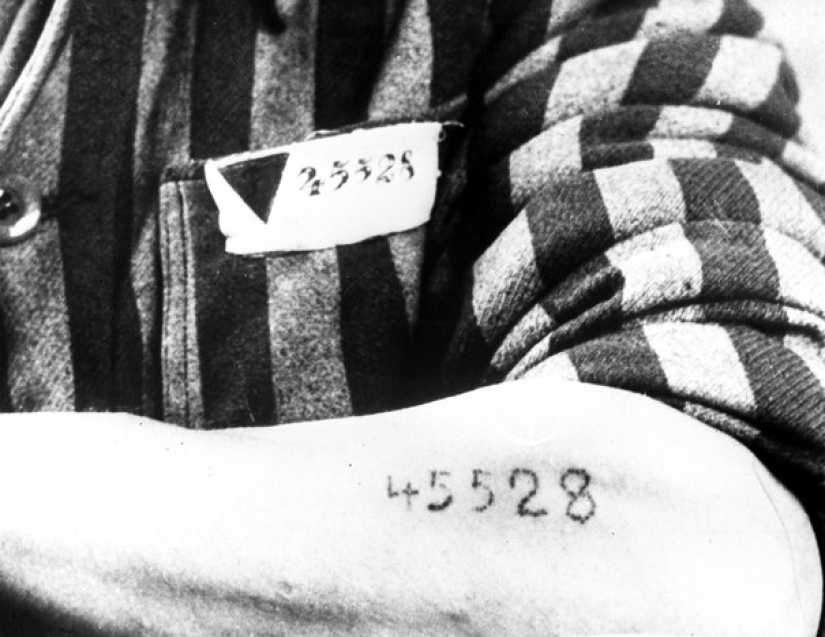 Why did they start making tattoos with numbers in Auschwitz: the story of one daring escape Why did they start making tattoos with numbers in Auschwitz: the story of one daring escape
