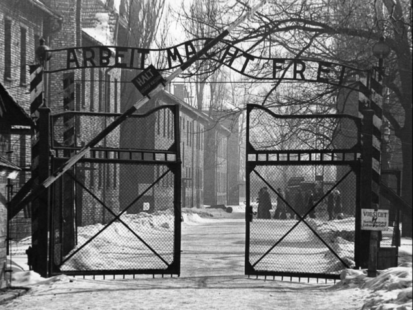 Why did they start making tattoos with numbers in Auschwitz: the story of one daring escape Why did they start making tattoos with numbers in Auschwitz: the story of one daring escape