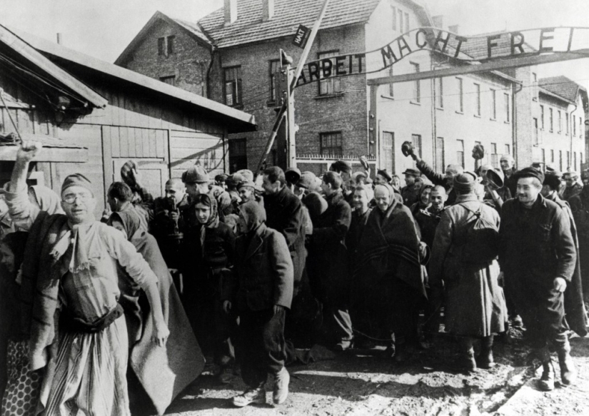 Why did they start making tattoos with numbers in Auschwitz: the story of one daring escape Why did they start making tattoos with numbers in Auschwitz: the story of one daring escape