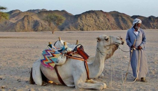 Why do Bedouins have a reputation for sluts, and is it deserved Why do Bedouins have a reputation for sluts, and is it deserved