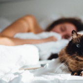 Why do cats like to sleep with women and not with men