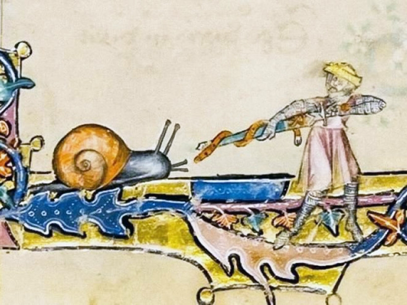 Why do medieval drawings show snails fighting knights?