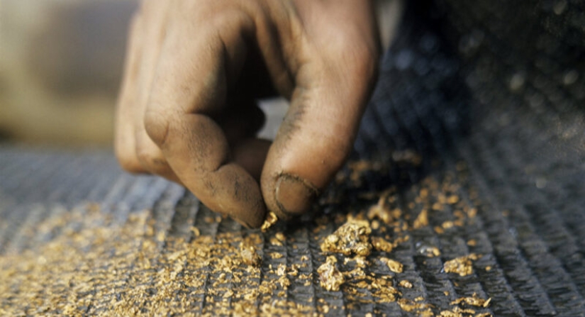 Why do the Indians have so much gold and what is the reason for its intense yellow color