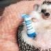 Why doctors recommend sleeping in socks: 5 important reasons Why doctors recommend sleeping in socks: 5 important reasons
